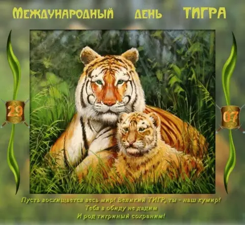 29 июля международный день тигра — с днем тигра