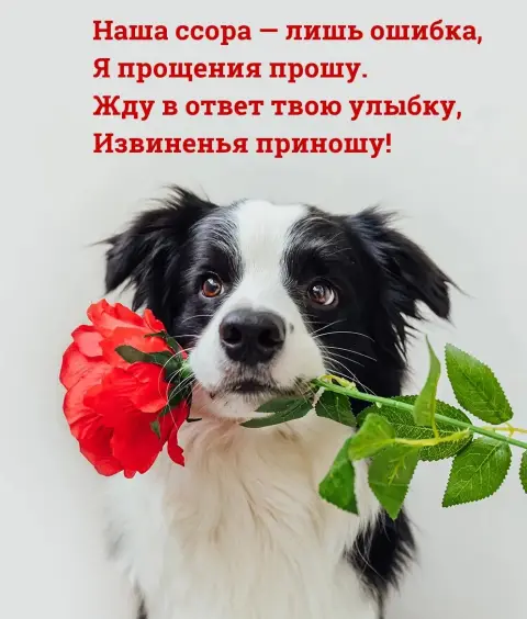 Прошу прощения или прощение — открытки с просьбой о прощении