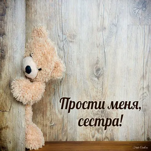 Прости меня сестренка — плюшевая мишка
