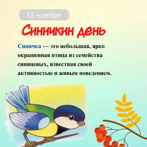 12 ноября синичкин день в детском саду — синичкин день младшая группа