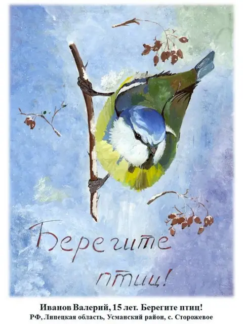 Синичкин день — берегите птиц