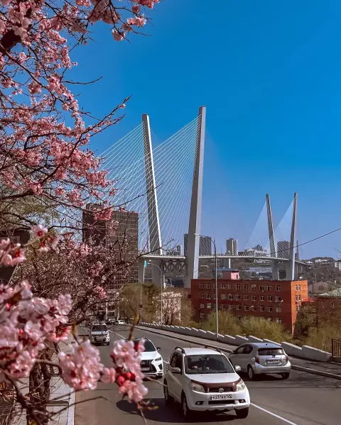 Золотой мост владивосток — русский мост во владивостоке