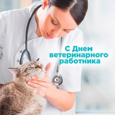 День ветеринарного работника