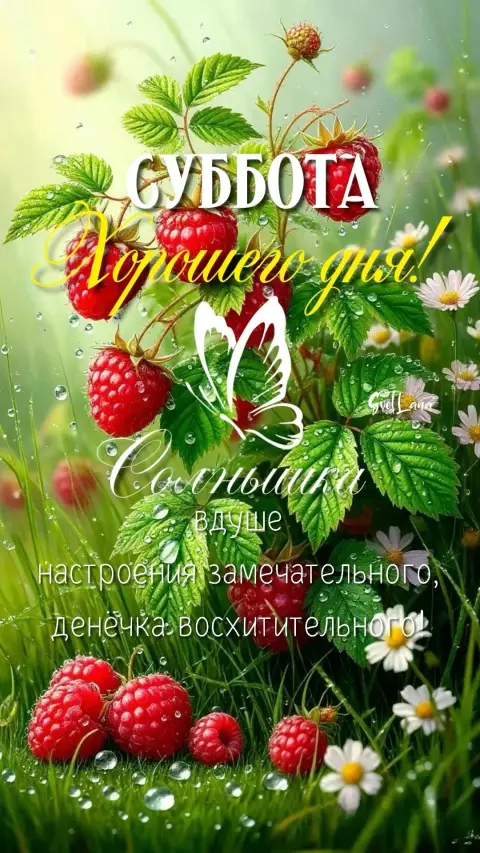 С добрым утром лето суббота — доброе утро лето четверг