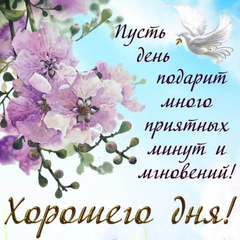 Открытки хорошего дня женщине красивые — открытки с пожеланием доброго дня