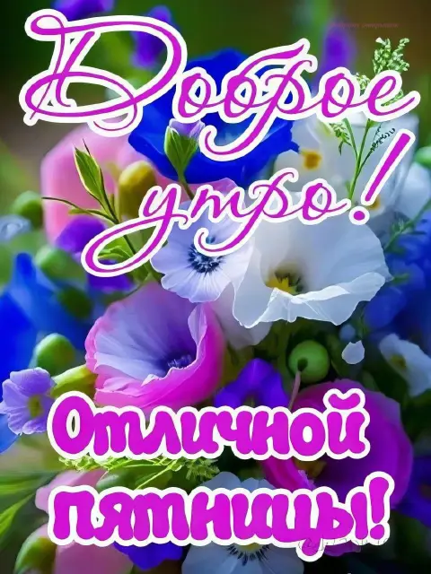 Утро пятницы доброе — с пятницей доброе утро и хорошего дня