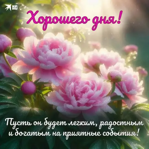 Добрый день с хорошими пожеланиями — открытки с пожеланием прекрасного дня