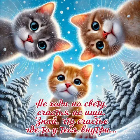 Открытка с котами — милые котики