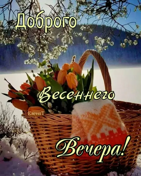 Вечер добрый