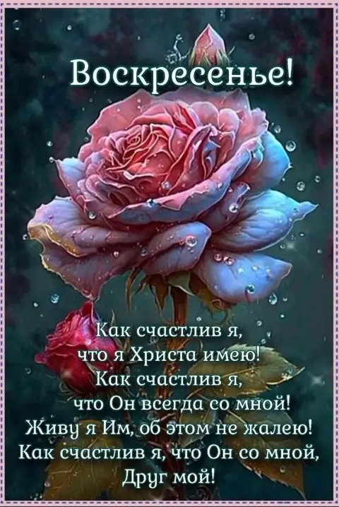 Утро воскресения — замечательного воскресенья