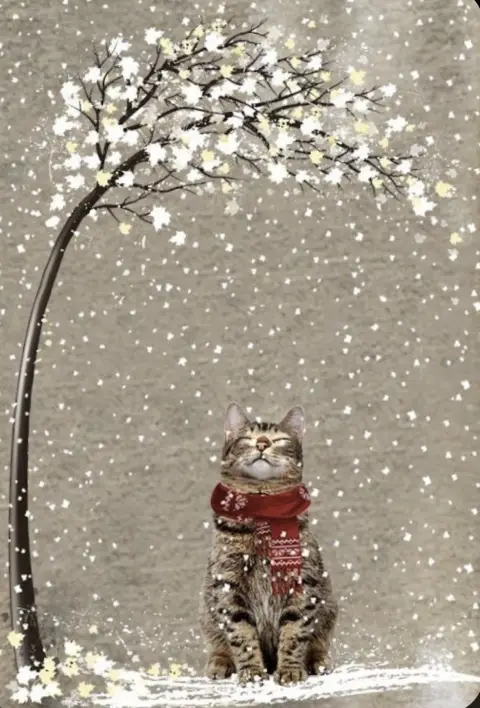 Котик зима — зимние коты