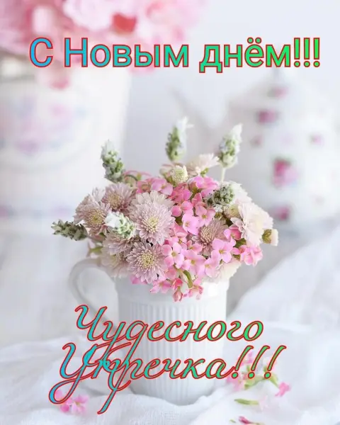 Добра утра — доброе утро