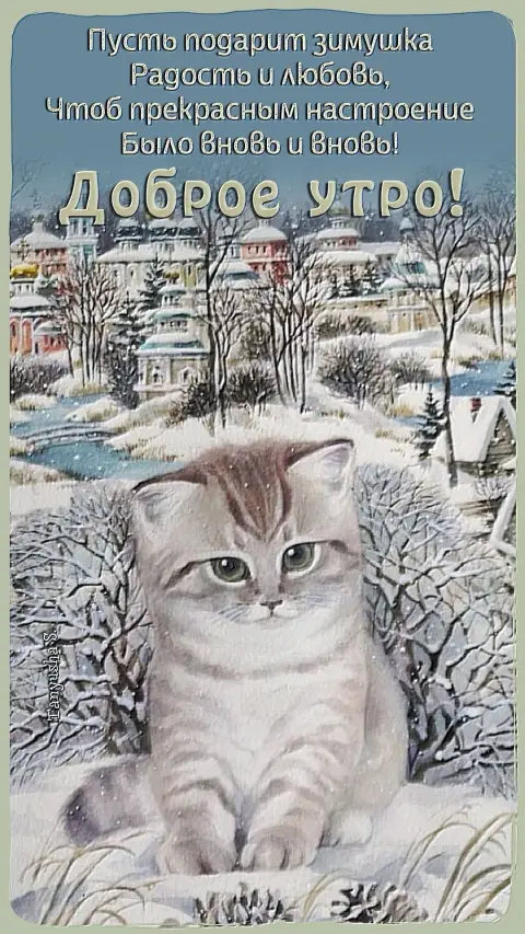 Доброе утро зимние котики — доброе утро котёнок на снегу